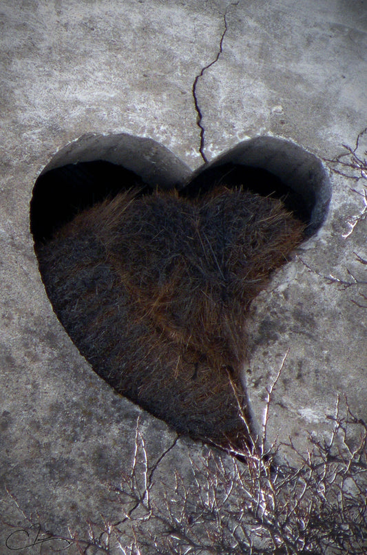 Paille en coeur "brisé"